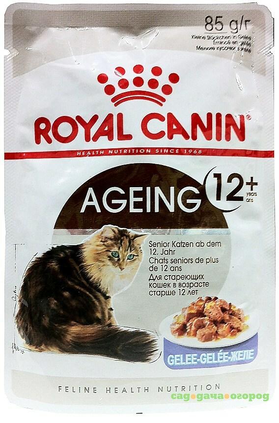 Ageing 12 royal. Корм для кошек Royal Canin ageing +12 + пауч. Роял Канин для кошек 12+ паучи. Роял Канин для кошек старше 12. Роял Канин эйджинг +12 для кошек паучи.