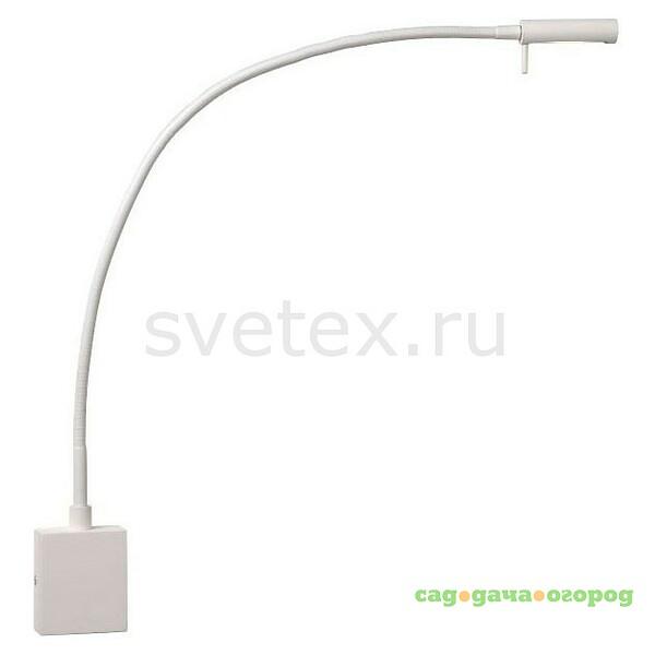 Фото Flex LED 17283/21/31