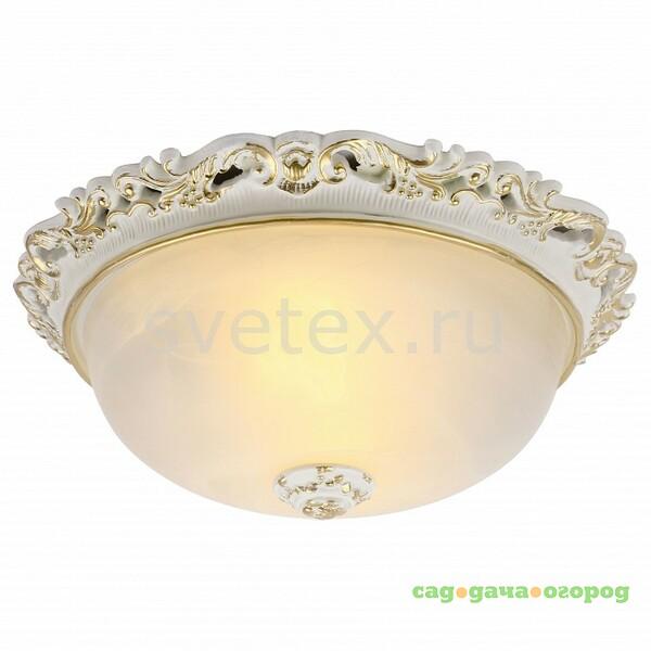 Фото Torta A7151PL-2WG