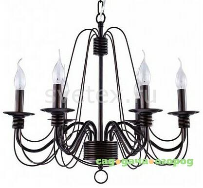 Фото Velia FR2046-PL-06-BR