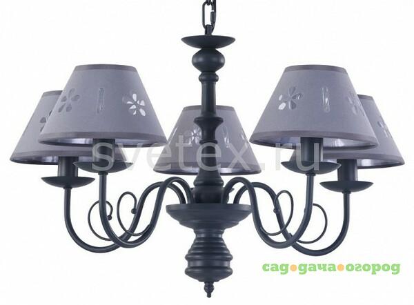 Фото Emily FR2537PL-05GR