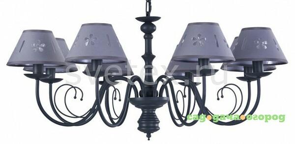 Фото Emily FR2537PL-08GR
