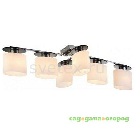 Фото Bice FR5101-CL-06-CN