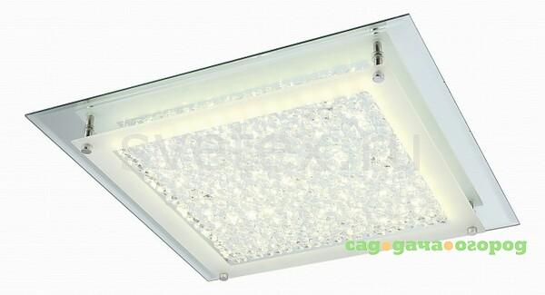 Фото Liana 49302