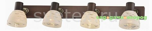 Фото Shayla TL3730Y-04BB