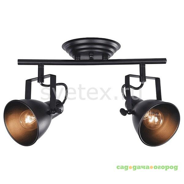 Фото Ibbi FR4276-CW-02-B