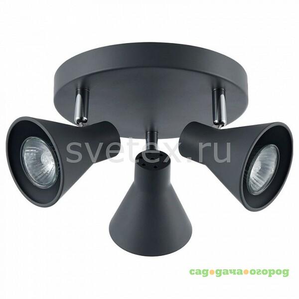 Фото Claris FR4308-CL-03R-GR