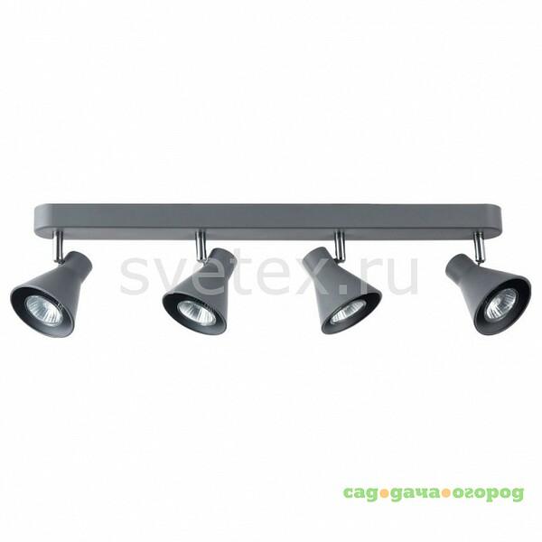 Фото Claris FR4308-CW-04-GR