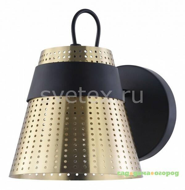 Фото Trento MOD614WL-01BS