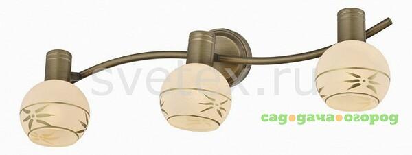Фото Sharleen TL3790Y-03AB