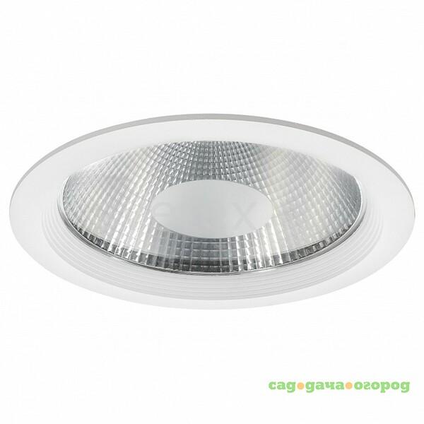 Фото Forto LED 223404