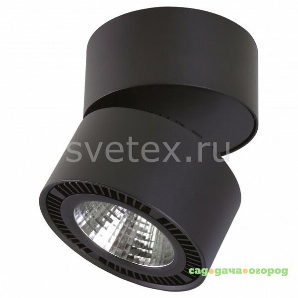 Фото Forte Muro LED 213837