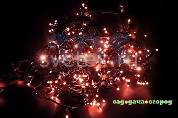 Фото (20 м) Дюраплей LED 315-152