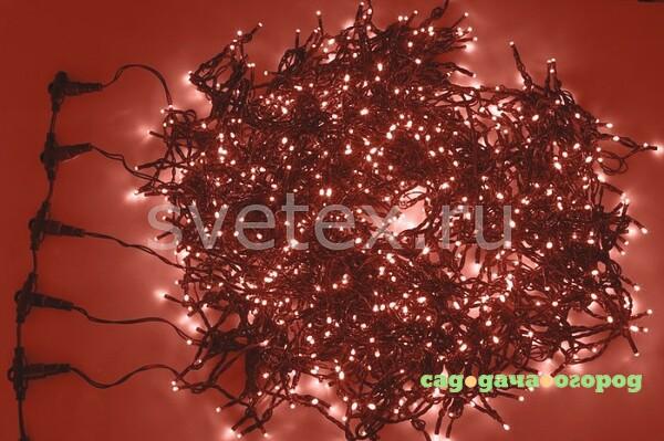 Фото (5x20 м) Clip Light LED-BS-200 323-502