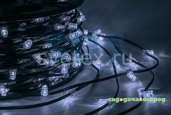 Фото (100 м) LED ClipLight 325-145