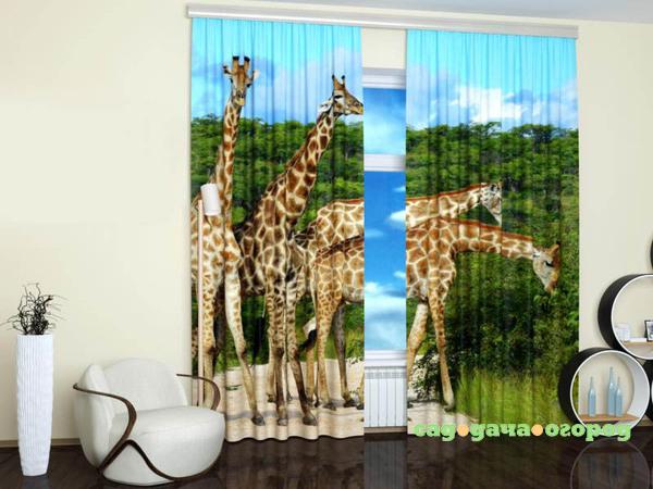 Фото Фотошторы Decorite