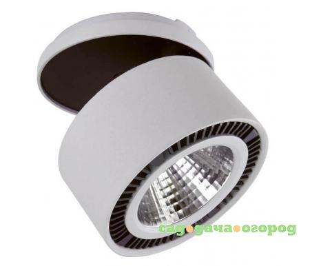 Фото Forte Inca LED 213820