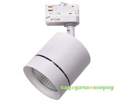 Фото Canno Led 301562