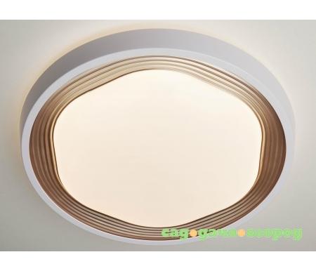 Фото 40005/1 LED кофе