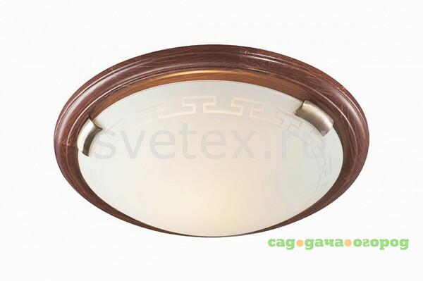 Фото Greca Wood 260