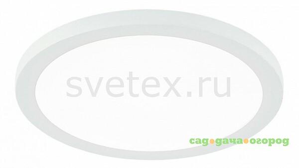 Фото Омега CLD50R080