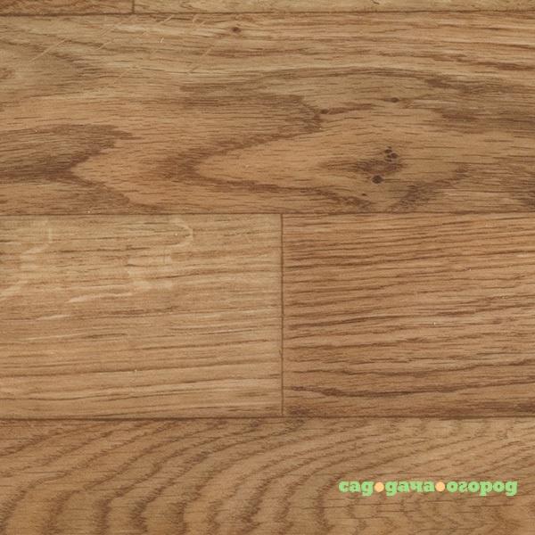 Фото Линолеум коммерческий гетерогенный Tarkett Acczent Pro Oak 01 2.5x20 м