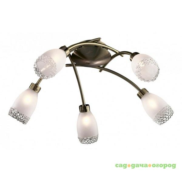 Фото Люстра потолочная Odeon Light Lerta 1803/5C бронза G9 5х40W 220V