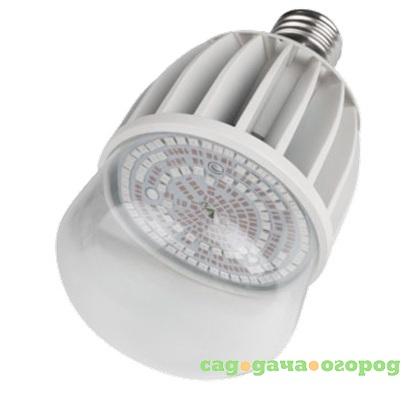 Фото Лампа светодиодная Uniel LED-M80-20W/SP/E27/CL ALS55WH для растений