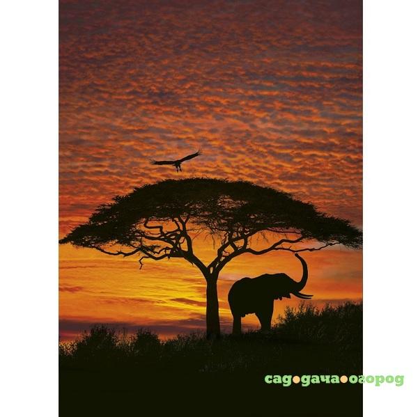 Фото Фотообои бумажные Komar African Sunset 4-501 1,94х2,70 м