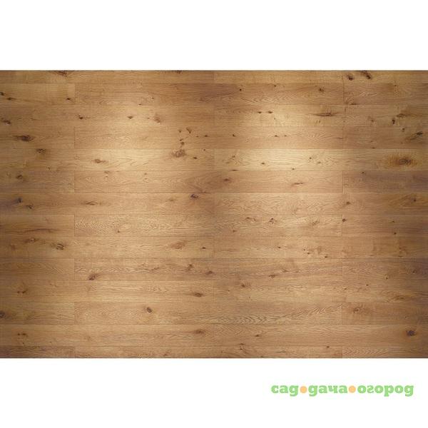 Фото Фотообои флизелиновые Komar Oak XXL4-027 3,68х2,48 м