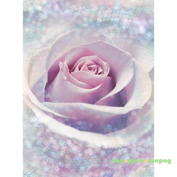 Фото Фотообои флизелиновые Komar Delicate Rose XXL2-020 1,84х2,48 м