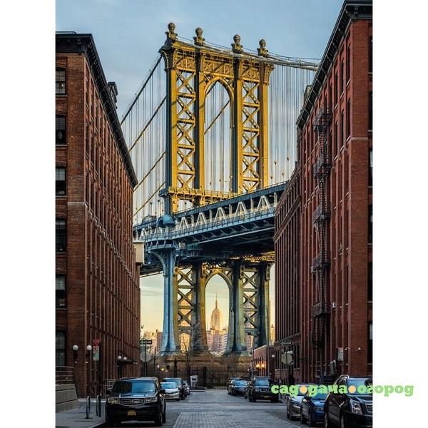 Фото Фотообои флизелиновые Komar Brooklyn XXL2-013 1,84х2,48 м