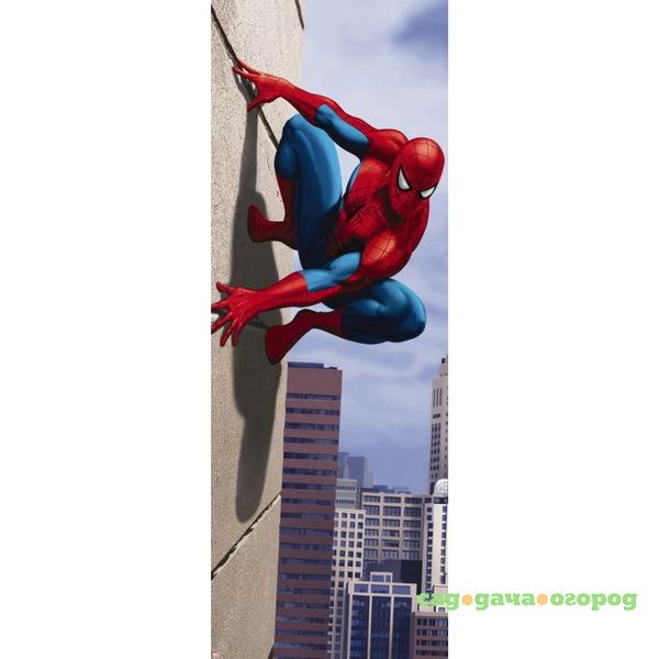 Фото Фотообои бумажные Komar Spider-Man 90 Degree 1-442 0,73x2,02 м