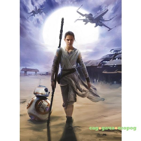 Фото Фотообои бумажные Komar Star Wars Rey 4-448 1,84x2,54 м