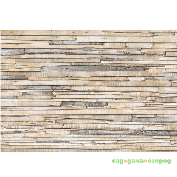 Фото Фотообои бумажные Komar Whitewashed Wood 8-920 3,68х2,54 м