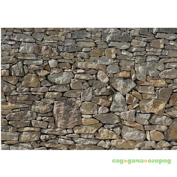 Фото Фотообои бумажные Komar Stone Wall 8-727 3,68х2,54 м