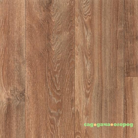 Фото Линолеум полукоммерческий Ideal Strike Havanna Oak 3216 2,5х35 м