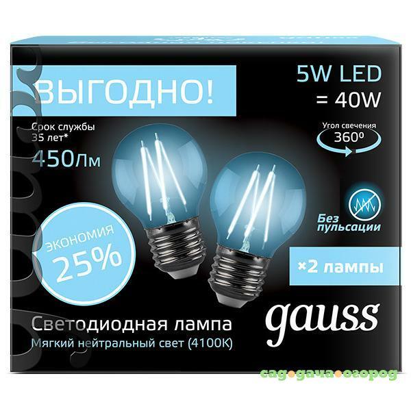 Фото Лампа светодиодная Gauss 105802205P Filament Шар E27 5W 4100К 2 шт. в упаковке