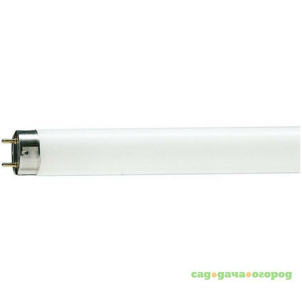 Фото Лампа люминесцентная Philips 928049003351 TL-D 58W/33-640 58Вт T8 4100К G13