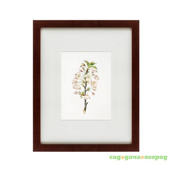 Фото Картина Pear Tree Flowers (42х52 см)