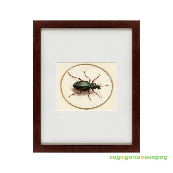 Фото Картина Beetle (42х52 см)