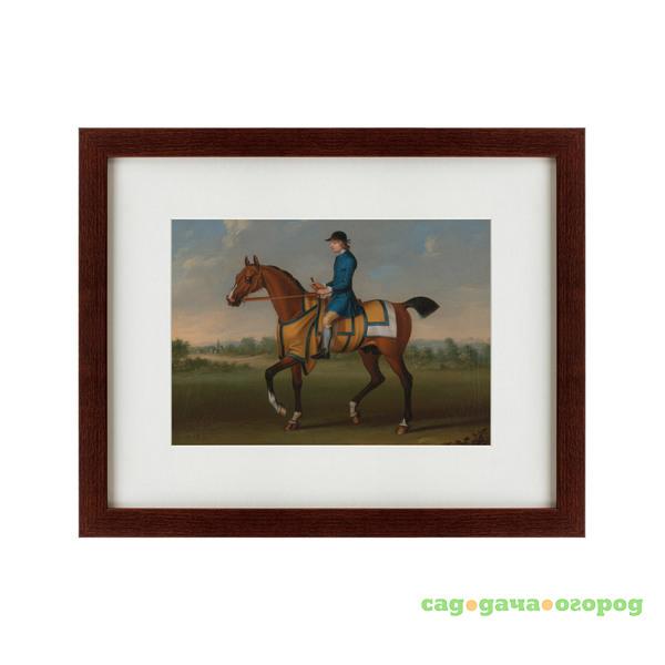 Фото Картина Bay Racehorse With Jockey Up (42х52 см)