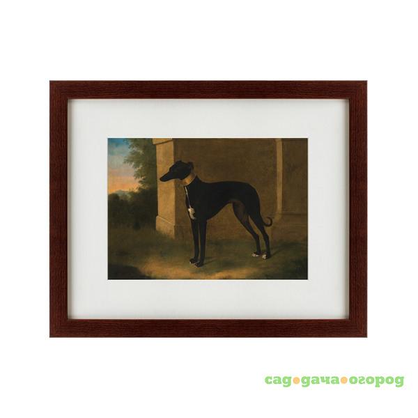 Фото Картина Portrait Of A Greyhound Called Pompon (42х52 см)