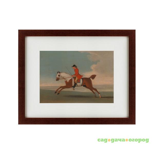 Фото Картина Chestnut Racehorse Exercised By A Trainer (42х52 см)