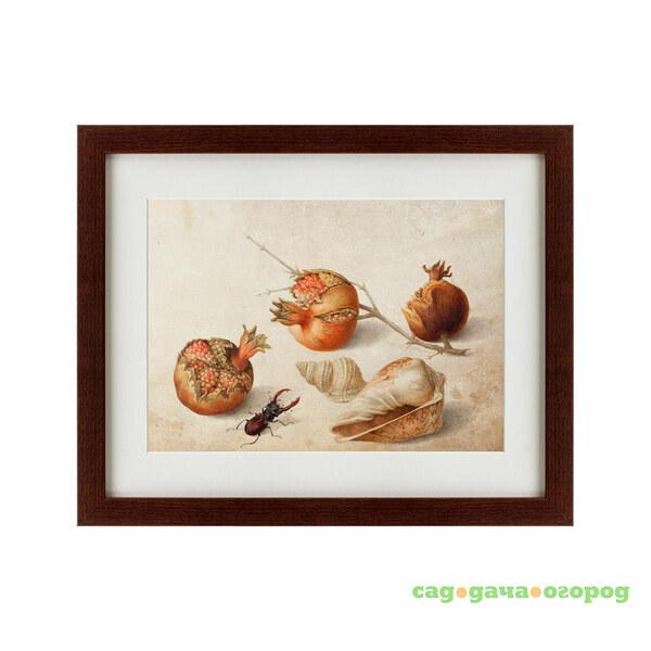 Фото Картина Fig Painting (42х52 см)