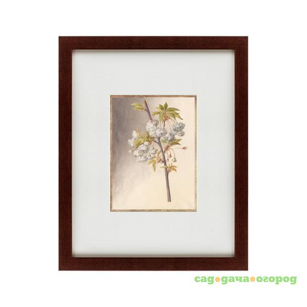 Фото Картина Watercolor Over Pencil Etude №1 (42х52 см)