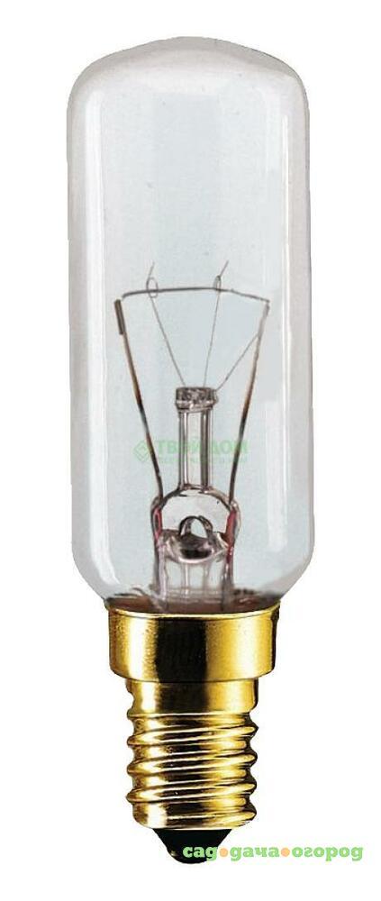 Фото Лампочка PHILIPS LAMPS Appliance 40W E14 230-240V T25L CL