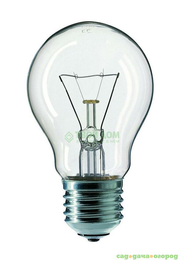 Фото Лампочка PHILIPS LAMPS Standard 60W E27 230V A55 CL 1CT