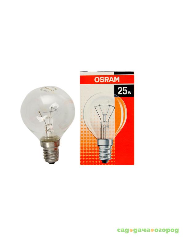 Фото Лампочка Osram 25w E14