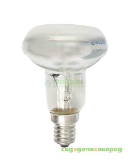 Фото Лампочка PHILIPS LAMPS Spot R50 40W E14